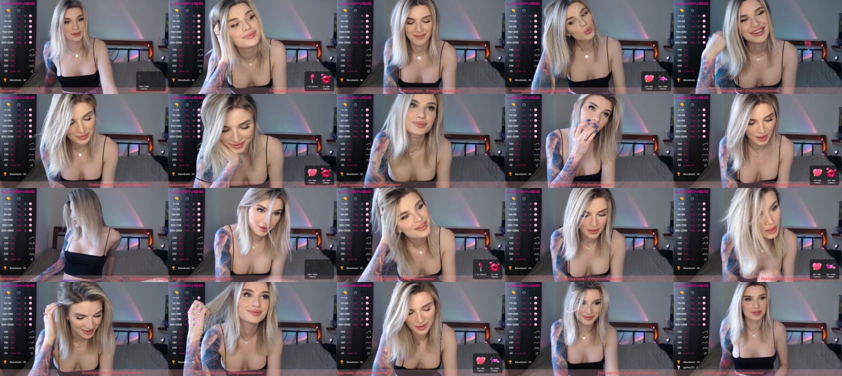 spicy_meow  14-04-2022